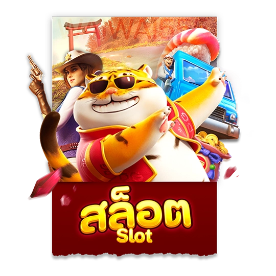 slot (8)